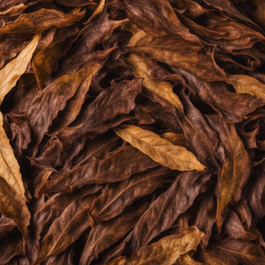 Pennsylvania Oscuro Tobacco