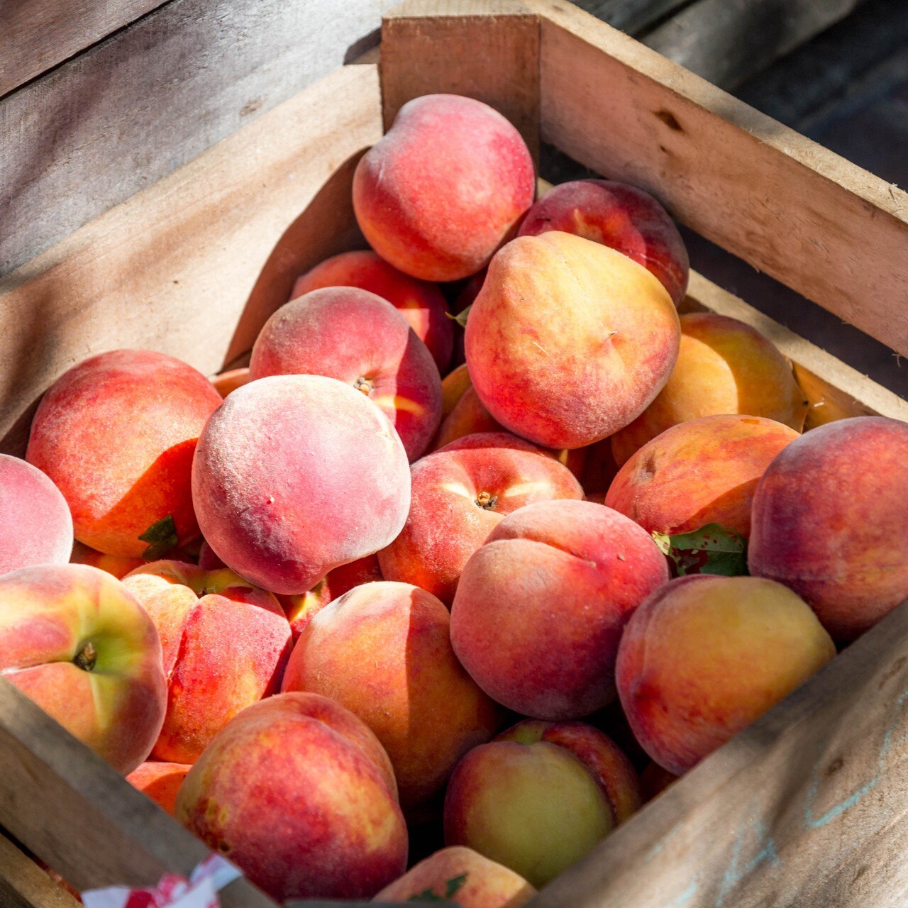 Peach - Lauren's